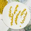 Venta al por mayor Acacia repujada flor seca flor hecha a mano paquete de material DIY espécimen de planta accesorios para fotos pegamento de gota joyería
