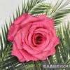 Flor de rosa de franela de simulación cabeza de flor roja ramillete pared de flores de boda accesorios de fotografía arco de flores artificiales flor de simulación al por mayor