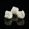 Suministrado directamente por el fabricante: Colección de Tallas de Frutas de Marfil, Cabeza de León, Cuentas Sueltas Pixiu, Colgantes, Accesorios para Joyería Semi-Terminados DIY