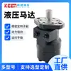 101-1701-009 Motor hidráulico doméstico 101-1034-009 motor cicloidal de baixa velocidade e alto torque BM1-60