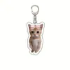 Llavero Acrílico Plátano Y Comida Gato Llavero Cabeza de Anime Emoji H Gato Gato Divertido App