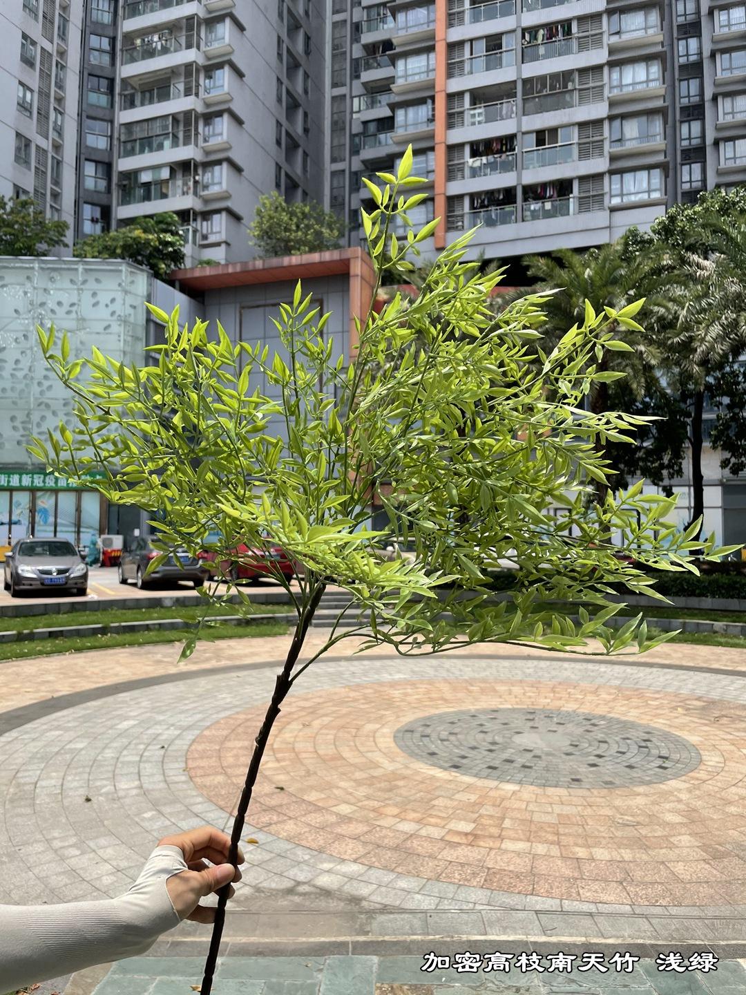 微信图片_20210804143250_副本-1.jpg