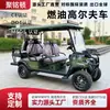 Carro de golf a gasolina, vehículo de transporte para campo de golf en zona escénica, vehículo de patrulla y turismo de 6 plazas, carro de golf