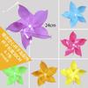 Molinos de Viento Decorativos Giratorios para Exteriores para Jardín de Infancia en Zonas Pintorescas, Juguetes Populares, Regalos Promocionales, Molinos de Viento Coloridos, Tipo Colgante