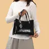 Bolso de Mujer de Moda Transfronterizo de Tendencia con un Toque de Lujo, Bolso de Hombro de Gran Capacidad, Bolso Cruzado, Bolso de Mano con Patrón de Piedra para Mujer