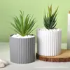 Vaso de Flor de Plástico Cerâmico Imitação Vaso Galão Espesso de Pp Simples Doméstico Redondo Orquídea Borboleta Rabanete Verde Planta em Vaso de Varanda