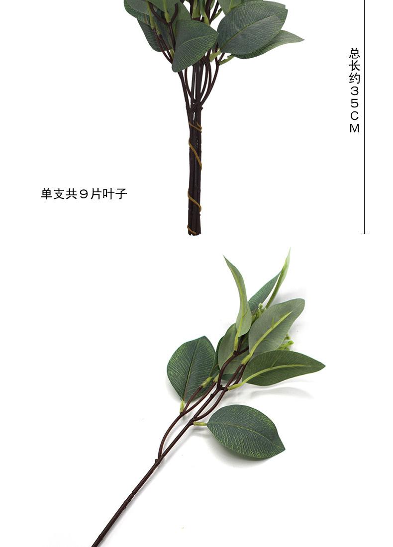 短杆单支_02.jpg