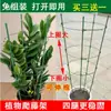 Soporte para Flores para Trepar Enredaderas, Varilla de Soporte para Árbol del Dinero Epiphyllum, Marco Extensible de Pinza de Cangrejo para Trepar Orquídeas Buganvilias Ampliado y Fijo