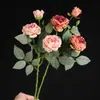 Arranjo de Flores Secas Estilo Pintura a Óleo Vintage com Borda Queimada de Rosa e Lótus para Sala de Estar, Mesa de Jantar, Gabinete de TV, Decoração de Flores, Peônia