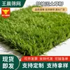 Sementes de Grama, Sementes de Grama para Proteção de Taludes, Sementes de Grama Perene para Todas as Estações, Grama de Cevada, Sementes de Festuca Alta para Pastagem, Arbustos para Revegetação de Taludes