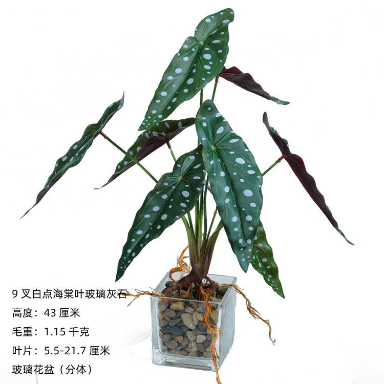 9叉带须白点海棠叶玻璃黑石