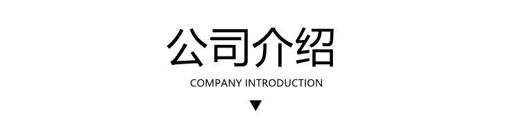 公司介绍