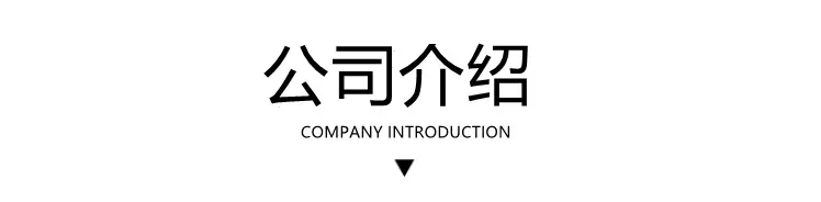 公司介绍