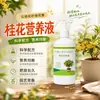 Solução Nutritiva de Osmanthus Pronta para Uso Tipo Spray Direto Ajuste de pH Suplemento de Ferro Anti-Amarelamento Amigo de Iniciantes Cuidado com Osmanthus em Vasos na Varanda