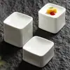 Plato para Snacks Jinyu Mantang de Fábrica Vajilla Especial para Hotel Club Plato para Platos Fríos Plato para Sushi Plato para Dim Sum Comercial