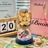 Bouquets Prácticos y de Alta Gama de Flores Preservadas para Amigas durante la Temporada de Graduación, Regalos de Cumpleaños para Novias y Madres, Regalos para el Día del Maestro