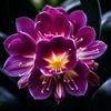 Plántulas de Orquídea Resistentes al Frío y Fuertemente Fragantes, Flores de Interior en Maceta, Orquídeas Cymbidium con Yemas Florales Grandes, Enviadas con Yemas Florales para la Sala de Estar