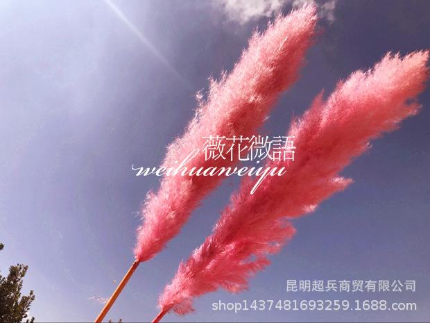 QQ图片20171110133759_副本.jpg