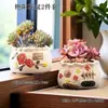 Conjunto Combinado de Vasos de Flores Suculentas Nórdicos Simples Criativo para Plantas Carnudas Jardinagem Liquidação Atacado Geração de Cabelo