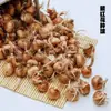Bulbos de Flor de Crocus para Jardinería Casera, Plantas Resistentes al Frío, Bulbos de Flor, Plántulas de Azafrán, Semillas, Flores en Maceta para Interiores y Exteriores