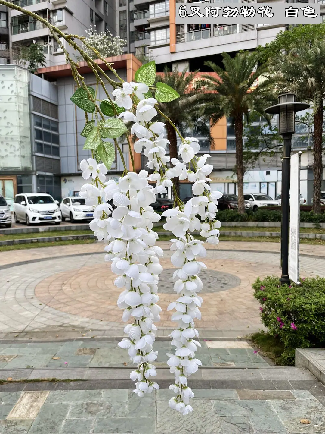 微信图片_20210312173742.jpg