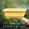 Maceta Rectangular Pequeña de Resina para Uso Doméstico, Cerámica de Imitación Arena Púrpura, Adecuada para Plantas Verdes, Bonsái de Árbol de Banyan, Venta al por Mayor