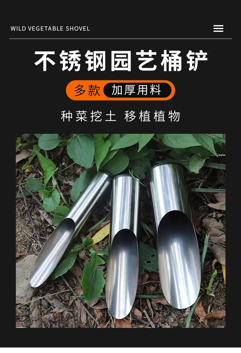详情_01.jpg