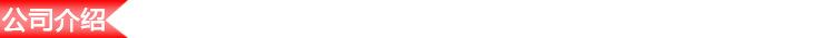 公司介绍