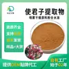 Extracto de Ligustrum, Polvo de Ligustrum, Polvo de Ligustrum Completamente Soluble en Agua Sc, Fábrica de Origen, Al por Mayor en Stock