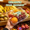 Etiqueta de Preço de Frutas Adesivos de Classificação de Frutas Frescas Etiquetas Especiais para Frutaria de Supermercado Bandeja de Exposição de Frutas Etiqueta de Frutas Importadas