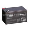 Batería Especial Wuhan 12FGH23 Control de Acceso 12V5Ah Dispositivo Médico Garantía Un Año FIAMM