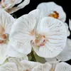 9 orquídeas Phalaenopsis artificiales, decoración de alta gama para el hogar, hotel, bodas y accesorios para fotografía