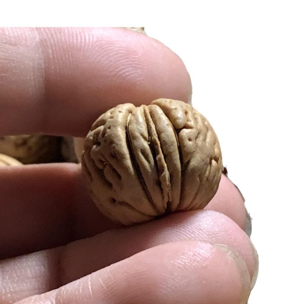 2024-10-16 17:39:35.jpg