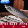 Caballa Seca 500g, Pescado Salado Secado al Aire y al Sol, Pescado de Mar Ligeramente Seco, Especialidad de Pescado Grande con Sabor a Ciruela, Pieza Entera