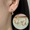 Brincos TEMU transfronteiriços novo estilo zircônia cúbica brincos de nicho de alta qualidade para mulheres brincos da moda e versáteis estilo francês