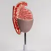 Modelo de Anatomía del Sistema de Órganos Reproductivos Masculinos Humanos Modelo Reproductivo Urinario Enseñanza Modelo de Testículo