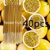 Maracuyá [Artículo Caliente Transfronterizo] Palillos de Bambú Sabor Fruta de 22 cm, Palillos de Aromaterapia, Xiyin Temu
