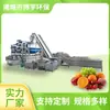 Linha de Produção de Prensagem de Mirtilo Boyu Equipamento Totalmente Automático para Prensagem de Suco Fábrica Conjunto Completo de Máquinas de Suco de Frutas