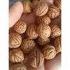 Almofada de Caroço de Noz de Pêssego Pequeno Selvagem, Sementes Soltas, Sementes Cruas, Almofada Cervical, Contas Soltas, Preenchimento de Matéria-Prima de Noz Pecã Pequena para Almofadas