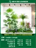 Paisagismo de Planta Artificial Varanda Arranjo de Paisagem Escada Interna Sob Árvore de Flores Artificiais Decoração Biomórfica Planta Verde Paisagismo Combinação