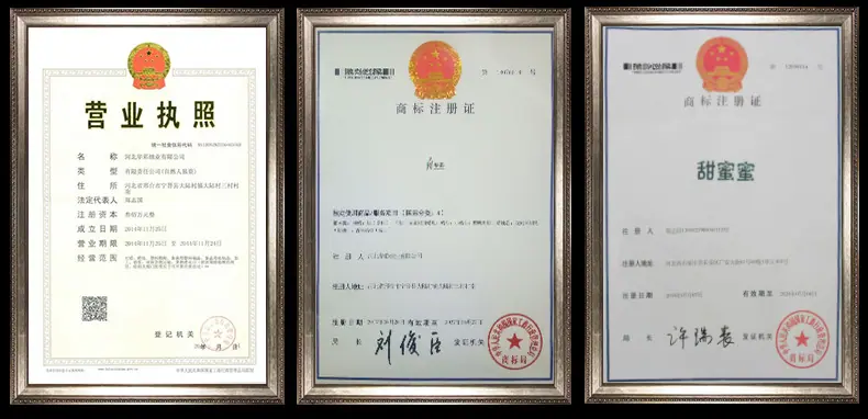 通用板块_05