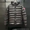 Chaqueta de Algodón con Plumas de Ganso de Gama Alta para Hombres y Mujeres, Parka para Exteriores con Capucha, Engrosada, Cálida, Cortavientos, Abrigo con Cuello de Piel