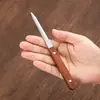 Cuchillo de té y aguja de té de titanio puro cristalino, accesorios de juego de té kung fu para el hogar estilo chino, herramienta especial para palanquear té para pasteles de té Pu'er
