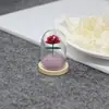 Collar de la Rosa del Principito, Varios Estilos de Collares de Rosa, Colgantes de Joyería con Cubierta de Cristal, Moderno