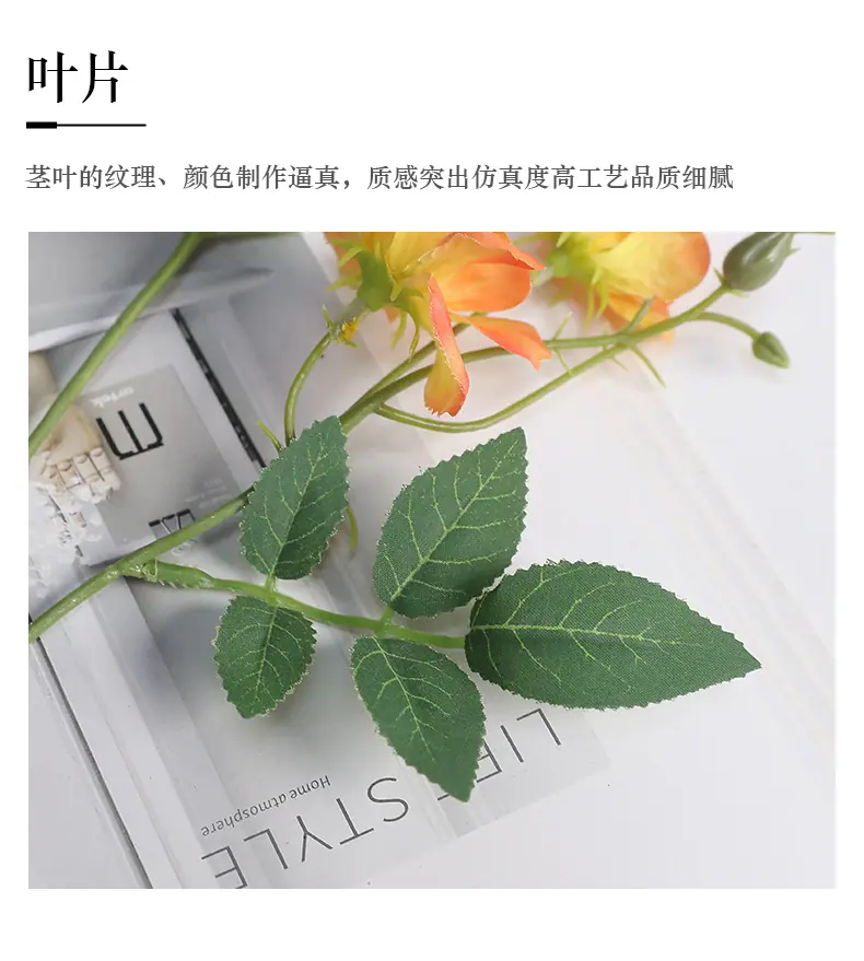 春野单枝小蔷薇_12.jpg