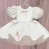 Vestido de Um Ano para Menina, Vestido de Princesa para Aniversário de Menina, Vestido de Performance para Crianças como Dama de Honra em Casamento, Outono e Inverno