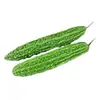 Mudas de Abóbora Branca de Alto Rendimento, Sementes de Melão de São Caetano, Mudas de Melão de São Caetano da Primavera, Mudas de Verduras Verdes, Mudas de Melão de Inverno de Polpa Grande