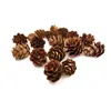 Decoraciones navideñas de flor de pino mini de 1-3 cm adornos creativos de alerce flor seca material decorativo DIY piña