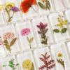 Ornamentos Populares de Resina com Flores Naturais, Lembranças Criativas Culturais e Criativas, Artesanato em Resina, Pequenos Presentes, Suportes de Livro Folha de Ginkgo Rosa
