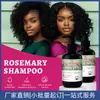 Shampoo de Alecrim Transfronteiriço Limpeza Profunda e Reparador Capilar Shampoo de Alecrim
